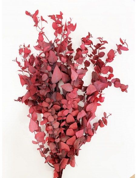 Eucalipto Stuartiana Rojo/Burdeos 150g