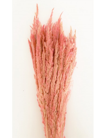 Plumeta Cristina Rosa flamenco 120g