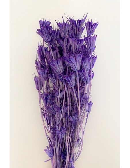 Nigella Oriental Morado 100g 50cms