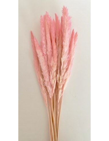 Pluma Decorativa Rosa 50/60 cms