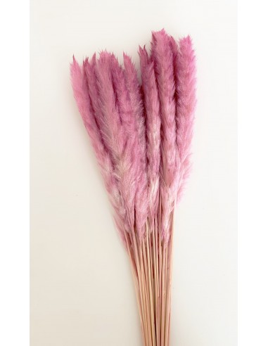 Pluma Decorativa Rosa/Malva 50/60cms