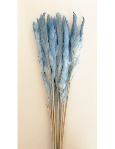 Pluma Decorativa Azul 50/60cms