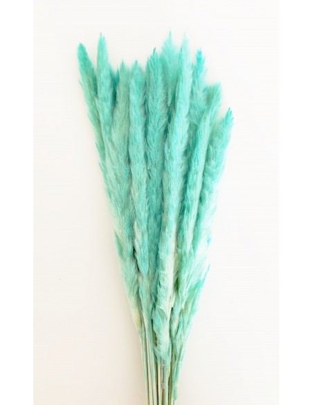 Pluma Decorativa Turquesa 50/60 cms