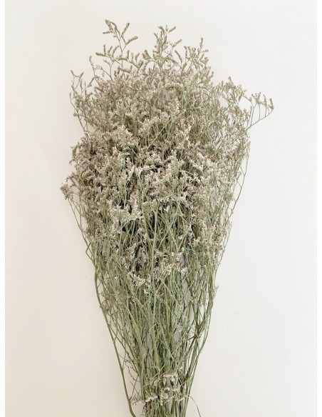 Limonium Preservado Blanco 70 cms