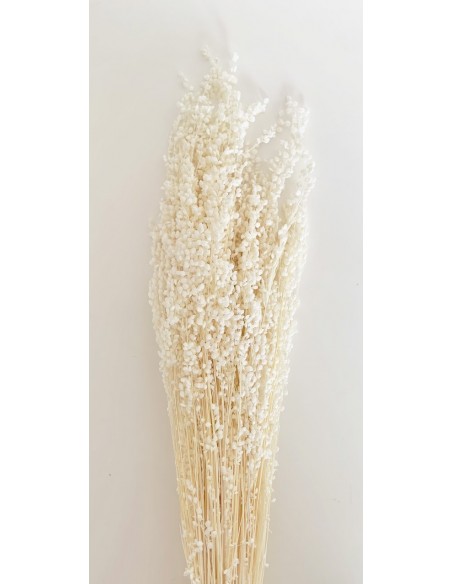 Briza mini Blanca 55cm