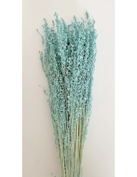 Briza mini Azul Turquesa 55 cms