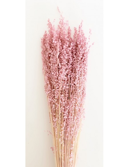 Briza mini Rosa/Malva 55cms