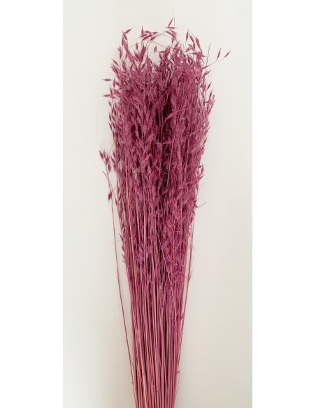 Princess Grass Rosa/Malva 100cm