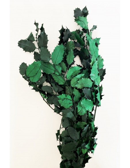 Acebo Preservado verde 80cm