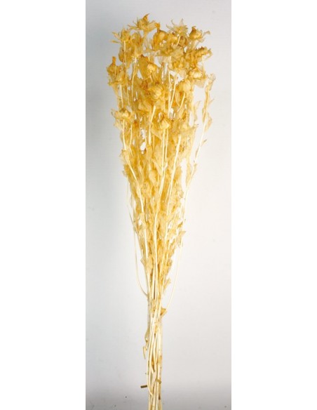 Carthamus tinctorius Preservado Amarillo Suave 200g