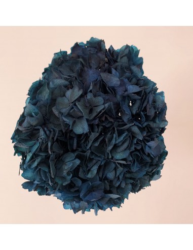 Hortensia preservada Azul Oscuro 20cm