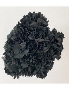 Hortensia Preservada Negra