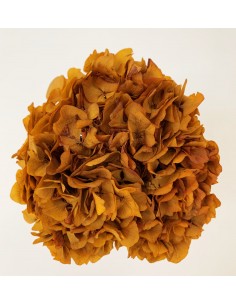 Hortensia preservada cobre