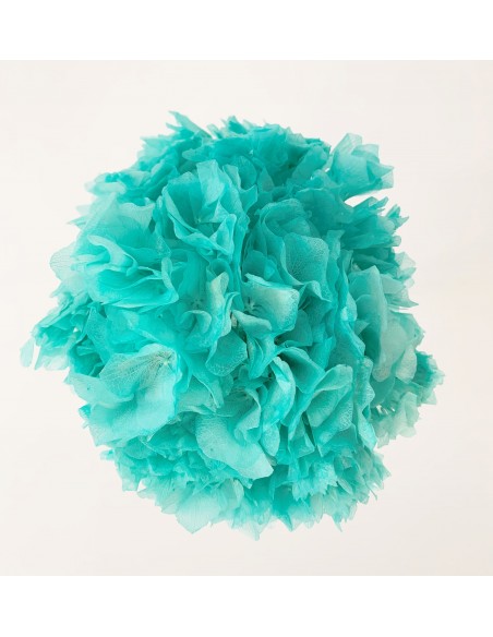 Hortensia Preservada Turquesa 20cm