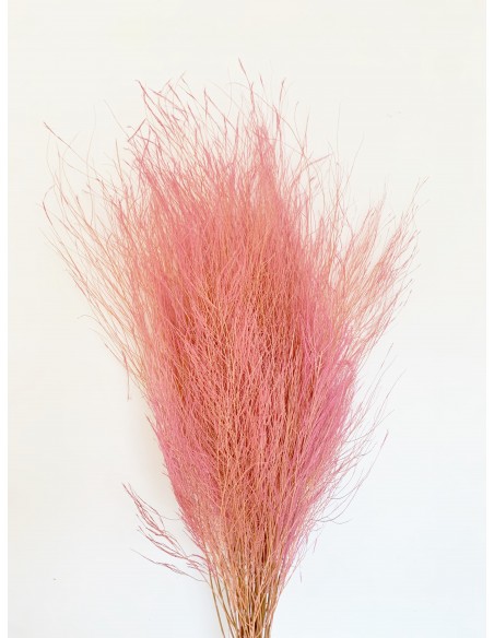 Esparraguera Preservada Trifle 70cm Rosa/Malva