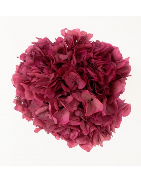 Hortensia preservadaFucsia/Burdeos