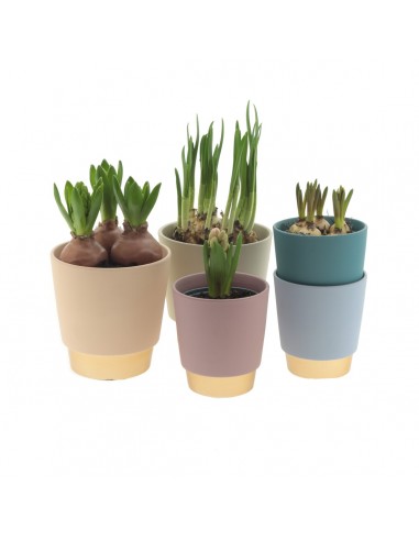 Maceta Elegance Ø13,2/9xH13,2cm rosa claro