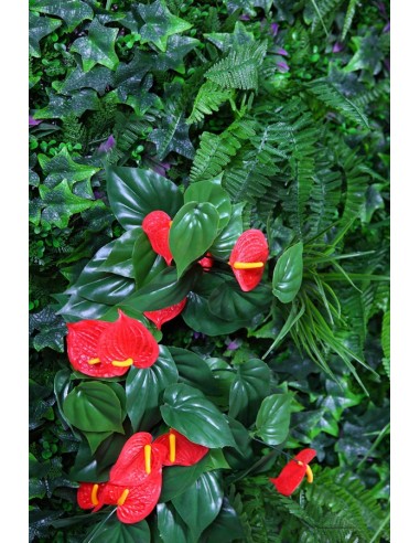 Placa de jardín vertical Anthurium