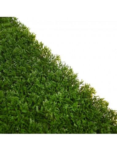 PLaca de Jardín vertical Seto corto