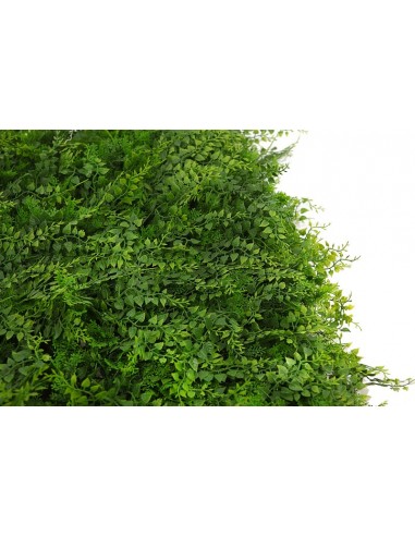 Placa de jardín vertical Helecho Largo