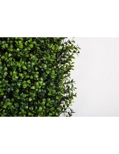 Placa. de jardín vertical Boj