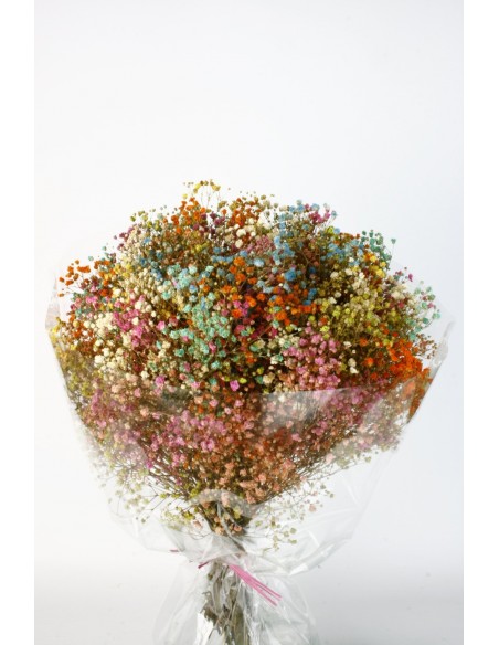 Mazo de paniculata 25/30cms x 40/50cms Colorines
