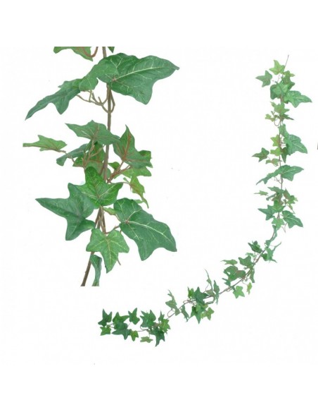 Guiernalda Hiedra 1.5mt