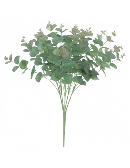 Ramo de Eucalipto x15