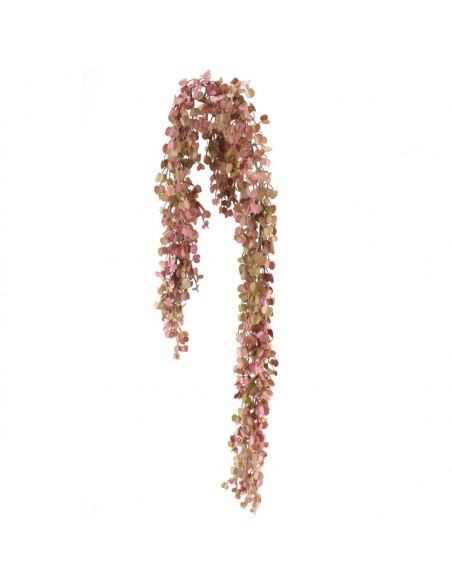 Colgante Bupleurum