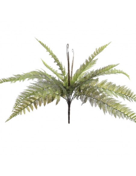 Colgante de Sprengeri