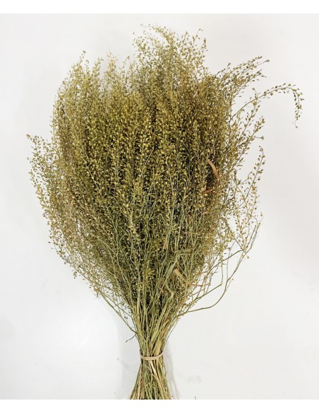 Lepidium seco Verde Natural 100g