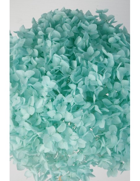 Hortensia preservada Turquesa Hoja pequeña