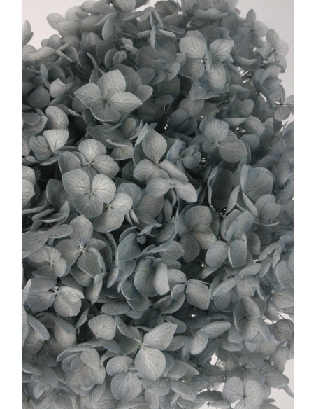 Hortensia Preservada Azul Hoja Pequeña