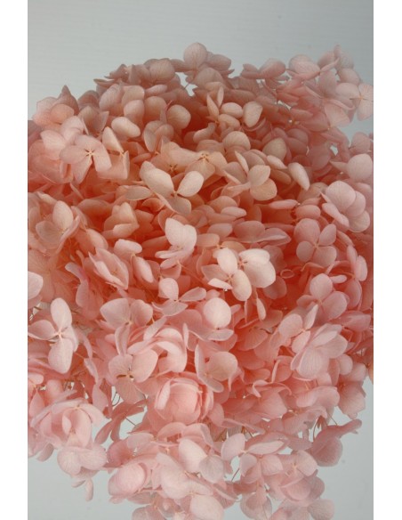 Hortensia Preservada Rosa Pastel Hoja Pequeña