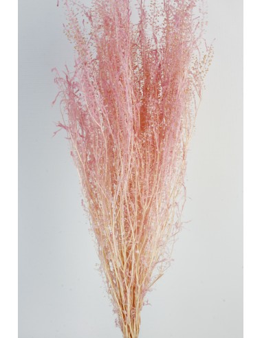 Lepidium Preservado Rosa Pastel 45cm