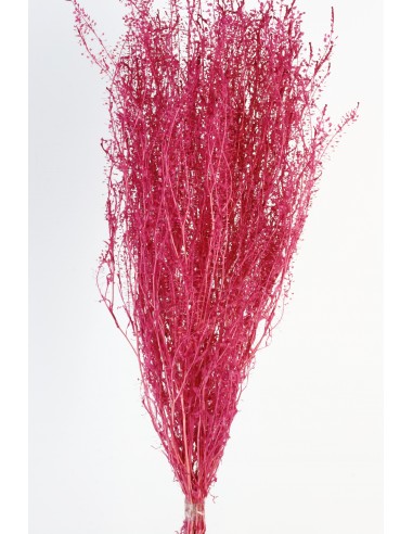 Lepidium Preservado Rosa/Malva 45cm