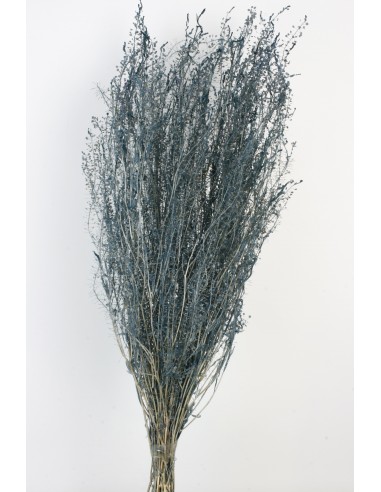 Lepidium Preservado Azul/Gris 45cm