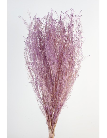 Lepidium Preservado Malva 45cm