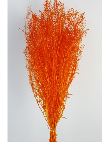 Lepidium Preservado Naranja 45cm