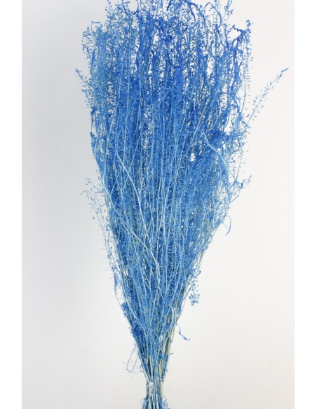 Lepidium Preservado Azul Celeste 45cm