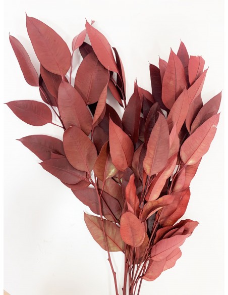 Robusta Burdeos 180g