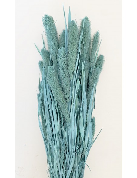 Setaria Azul Vintage 300g
