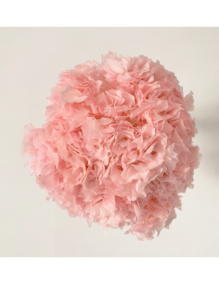 Hortensia Preservada Rosa Pastel
