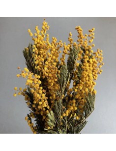 Mimosa Amarillo natural 150g