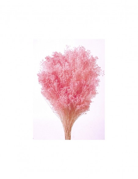 Ramo de brooms preservado color rosa 100g