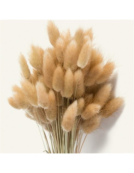 Lagurus Natural 100g