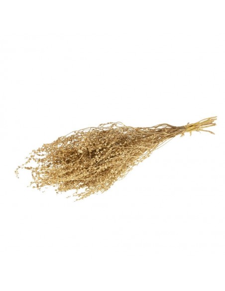 Lepidium extra oro 70g