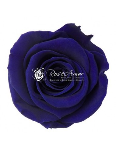 Rosa Preservada LL 6,5CM Azul X6 Roseamor