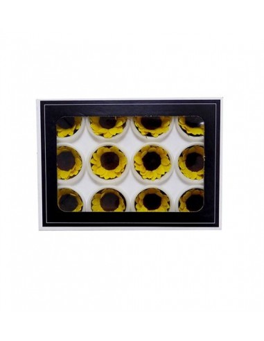 Girasol Preservado 12