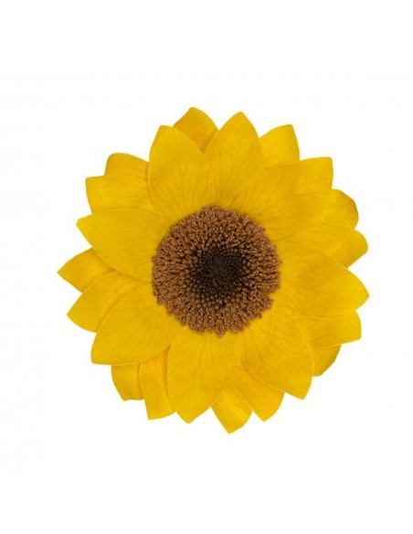 Girasol Preservado Roseamor XXL 1und 10cmØ